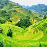 Đặt phòng khách sạn