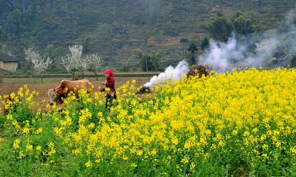 Đặt phòng khách sạn