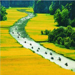 Đặt phòng khách sạn