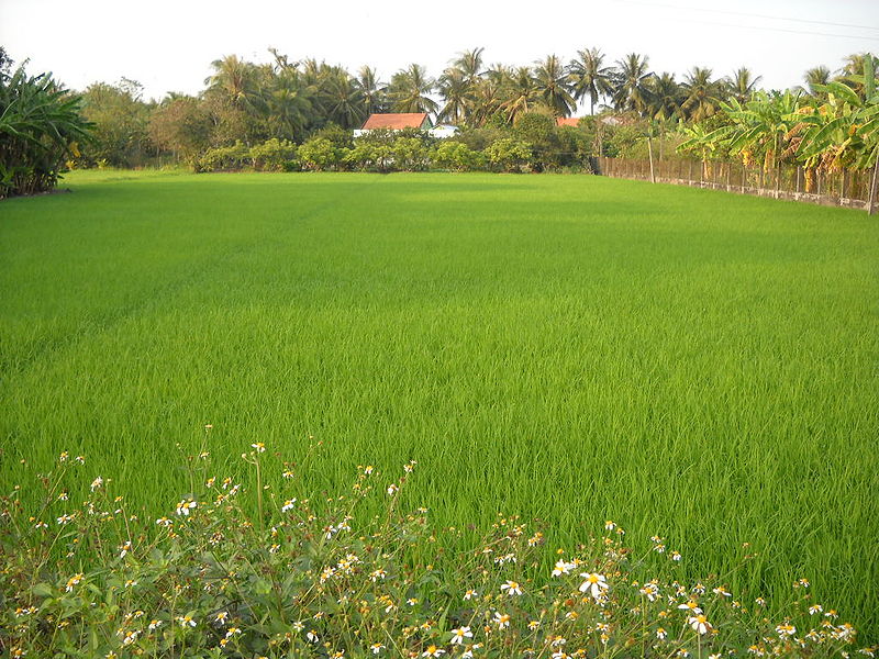 Đặt phòng khách sạn