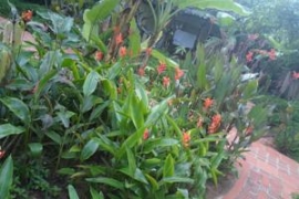 Khách Sạn Việt Thành Phú Quốc