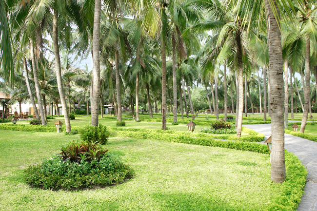 Sea Lion Beach Resort & Spa