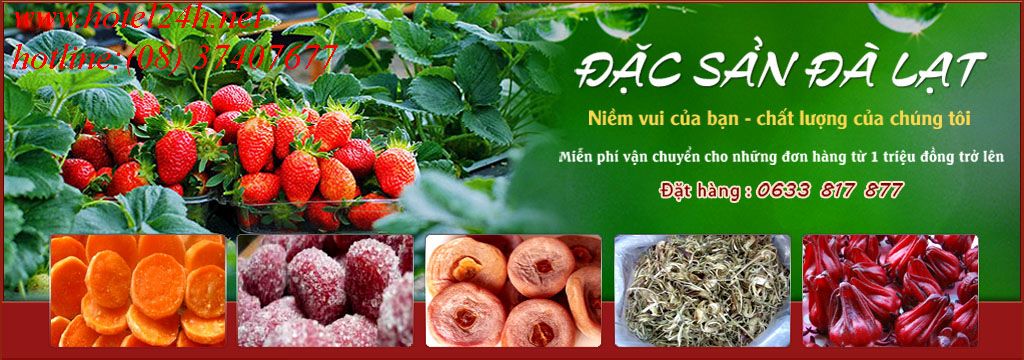 banner%20hchinhmuc.jpg
