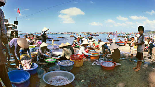 cho-duong-dong.jpg