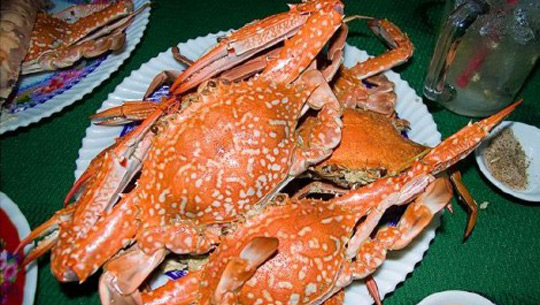 ghe-Ham-Ninh.jpg