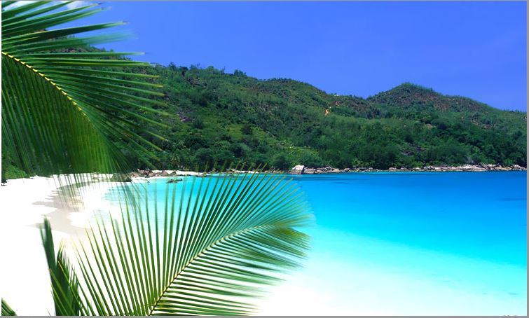 Bãi Biển
