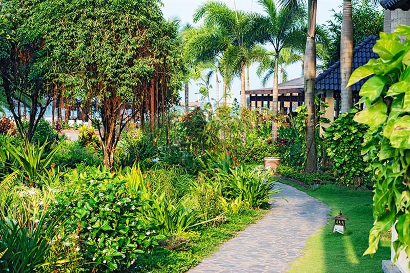 Cảnh quan - Eden resort