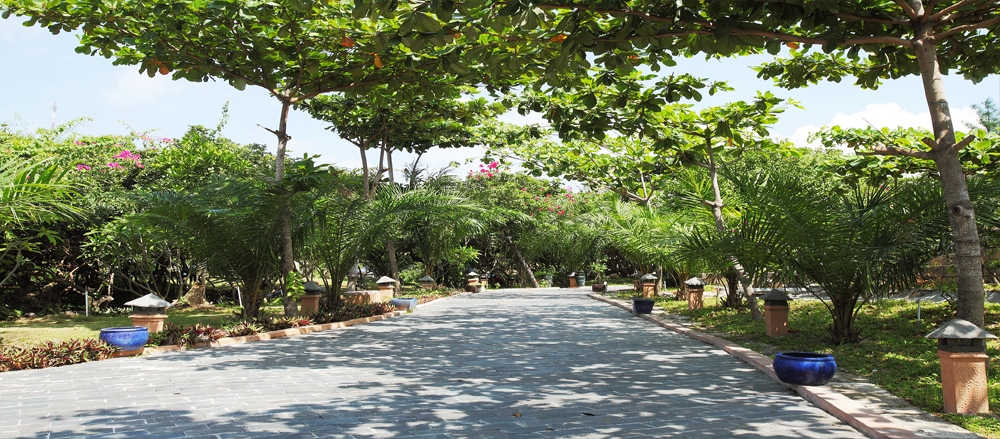 Lối vào