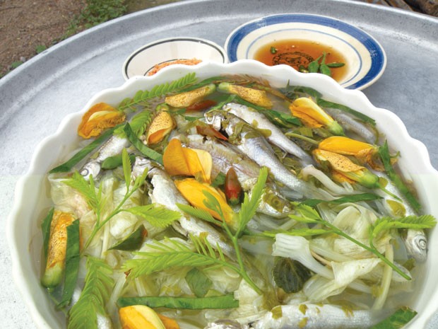 canh-chua-ca-linh-hotel24h.net.jpg