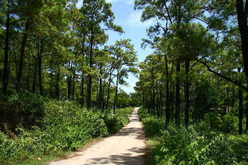 khu-doi-thong-hotleh24.net.jpg