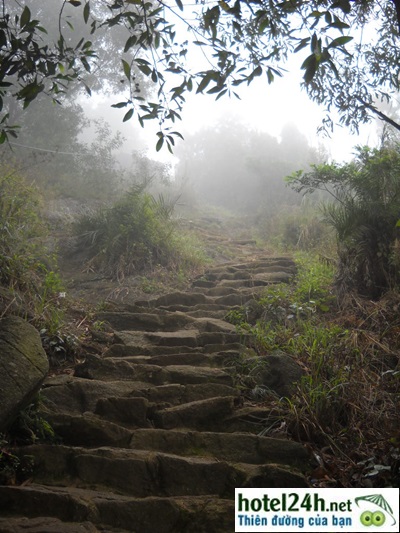 Duong_len_chua.JPG