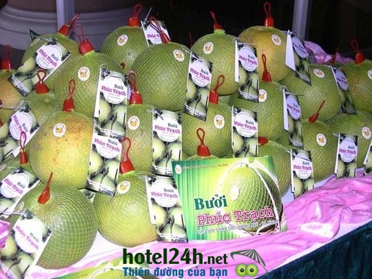 buoi-phuc-trach-1-hotel24h.net.jpg
