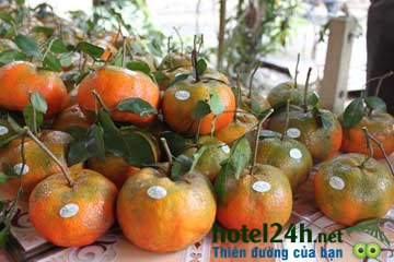 cam-bu-1-hotel24h.net.jpg