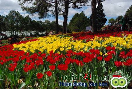 du-lich-mua-dong-o-dau-tai-viet-nam-a1-hotel24h.png