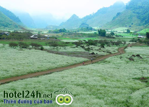 du-lich-mua-dong-o-dau-tai-viet-nam-a8-hotel24h.png