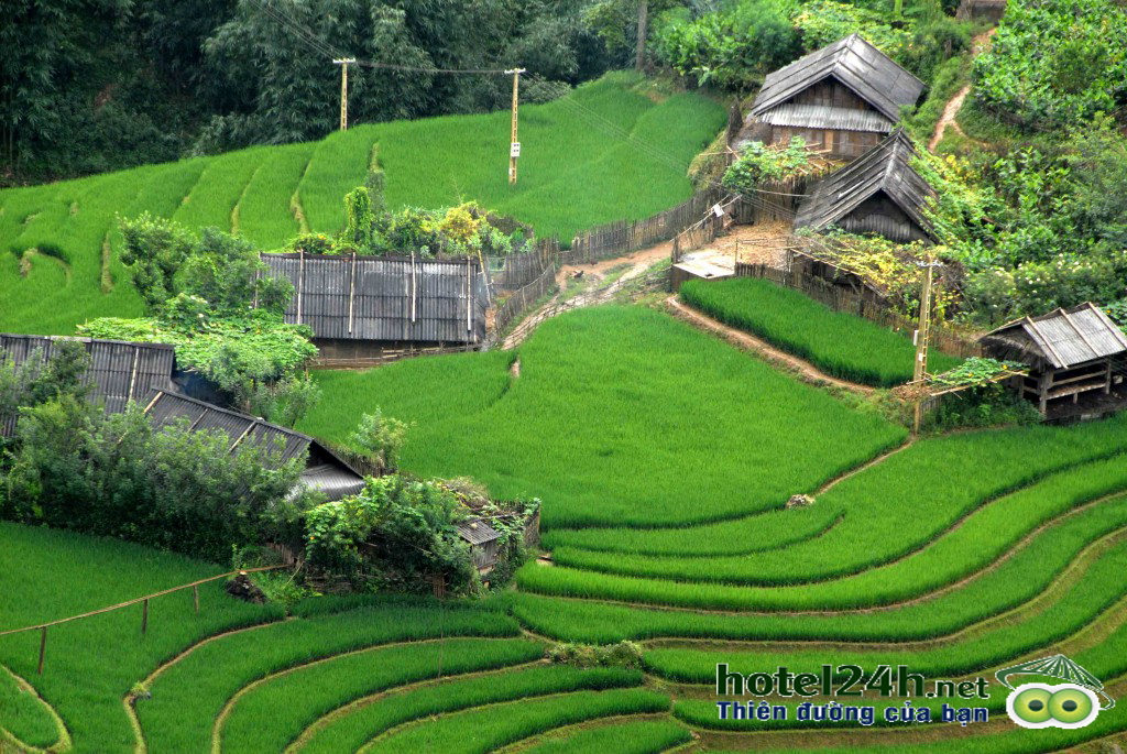 kinh-nghiem-du-lich-sapa-mua-dong-an-toan-a5.png