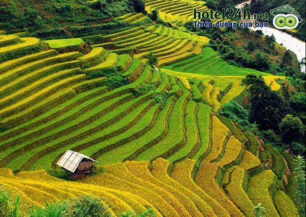 5-diem-den-hap-dan-khong-the-bo-qua-khi-du-lich-Viet-Nam-a10.png