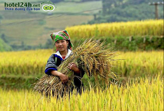 5-diem-den-hap-dan-khong-the-bo-qua-khi-du-lich-Viet-Nam-a9.png