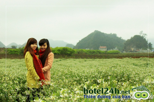 du-lich-moc-chau-mua-hoa-cai-hotel24h-a7.png