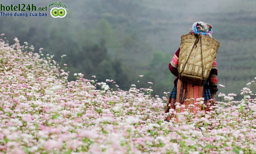 du-lich-ha-giang-trai-nghiem-kho-phai-hotel24h-a2.png