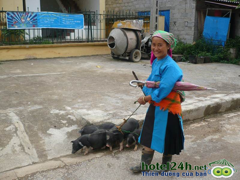 du-lich-ha-giang-trai-nghiem-kho-phai-hotel24h-a5.png