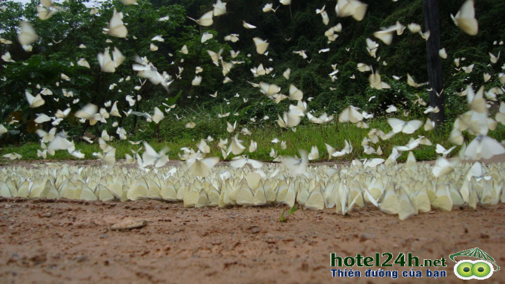 vuon-quoc-gia-phong-nha-ke-bang-di-san-thien-nhien-the-gioi-hotel24h-a2.png