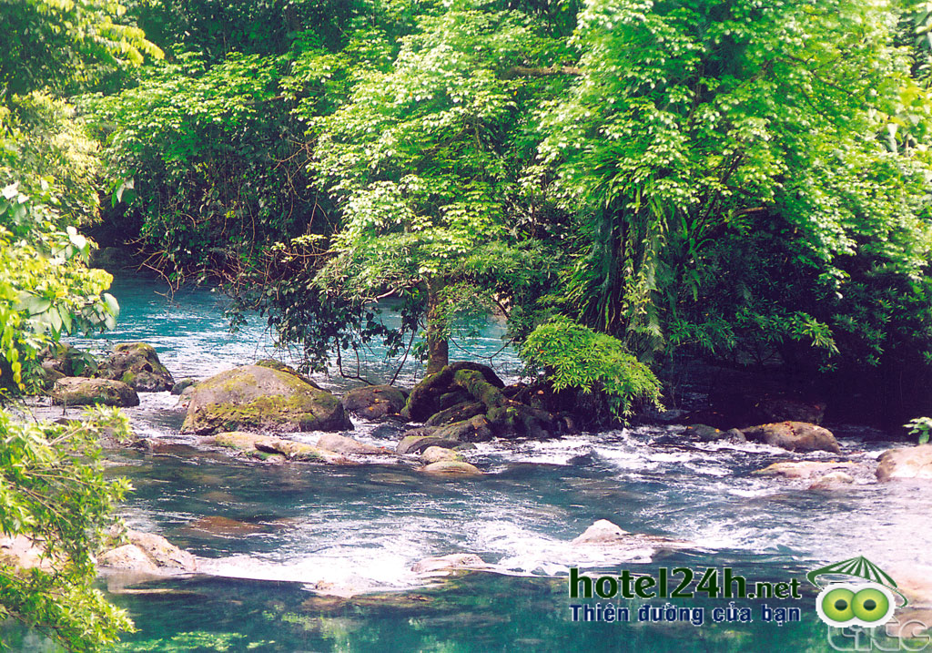vuon-quoc-gia-phong-nha-ke-bang-di-san-thien-nhien-the-gioi-hotel24h-a4.png