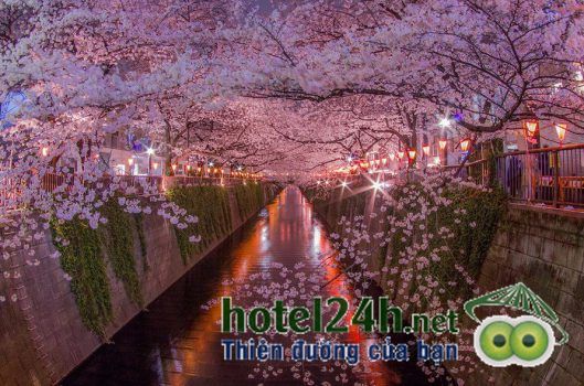 the-gioi-tuyet-dep-qua-nhung-buc-hinh-hotel24h-a7.jpg