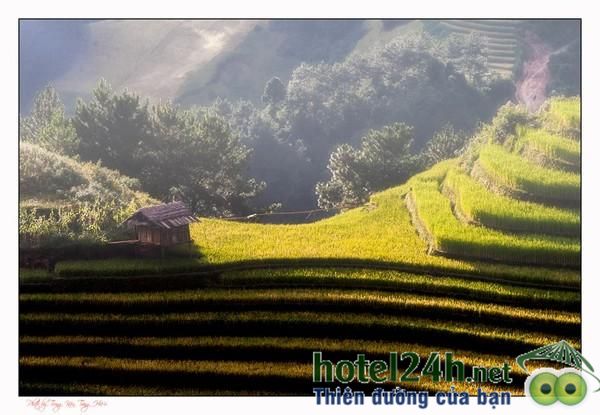 ghe-tay-bac-ngam-ruong-bac-thang-hotel24h-a1.jpg