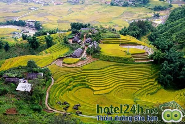 ghe-tay-bac-ngam-ruong-bac-thang-hotel24h-a11.jpg