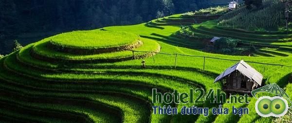 ghe-tay-bac-ngam-ruong-bac-thang-hotel24h-a6.jpg