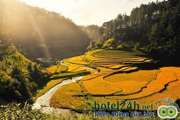 ghe-tay-bac-ngam-ruong-bac-thang-hotel24h-a8.jpg