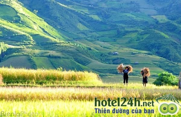 ghe-tay-bac-ngam-ruong-bac-thang-hotel24h-a9.jpg
