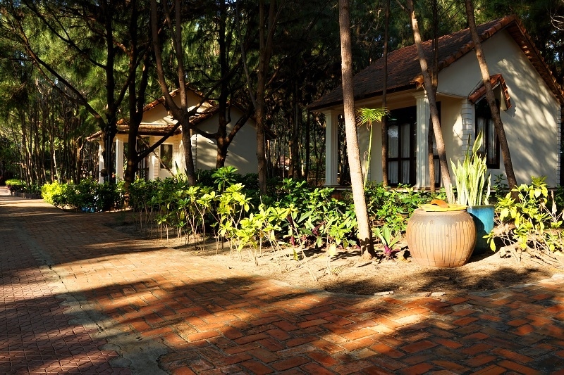 Phòng deluxe - Hotel24h.net