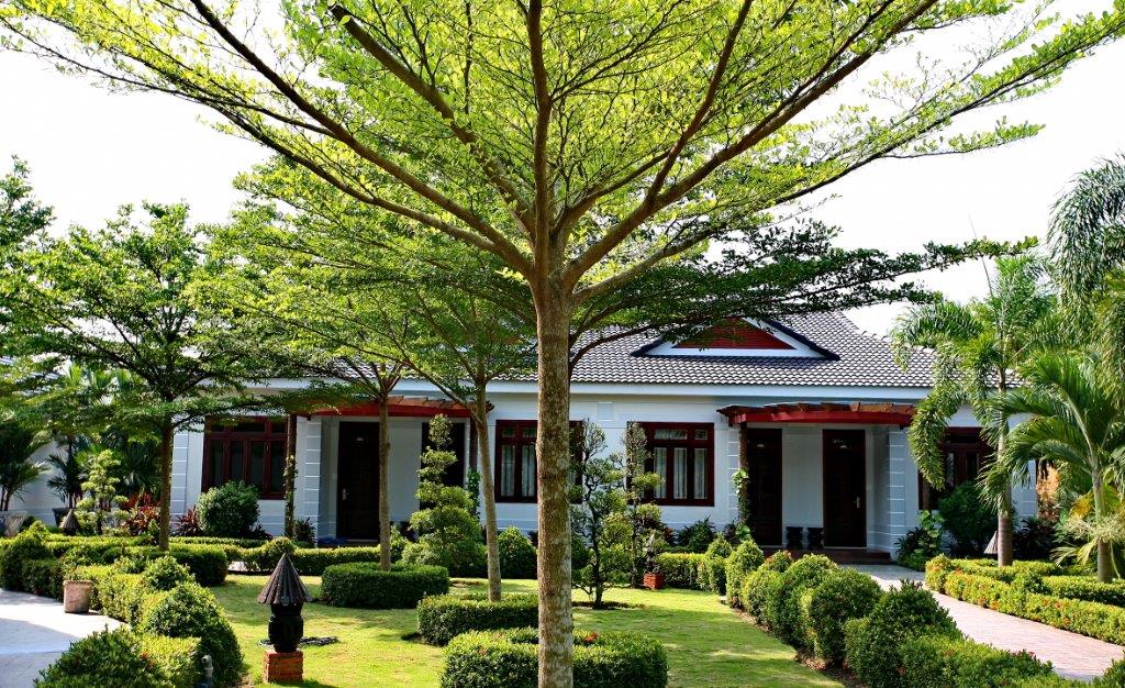 Phòng Luxury - Hotel24h.net