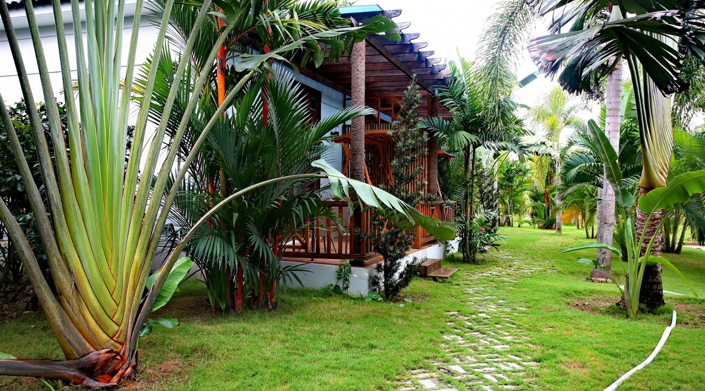 Phòng Luxury - Hotel24h.net