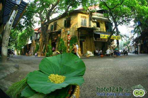 nhung-thien-duong-tuyet-dep-tai-viet-nam-hotel24h-a6.jpg