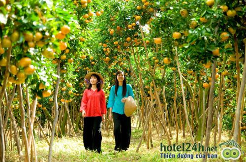 nhung-thien-duong-tuyet-dep-tai-viet-nam-hotel24h-a8.jpg