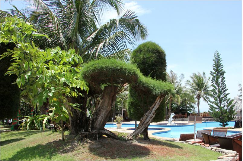 Hồ bơi - Hotel24h.net