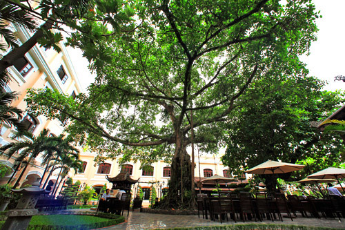Cảnh quan - Hotel24h.net