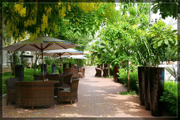 Cafe - Hotel24h.net