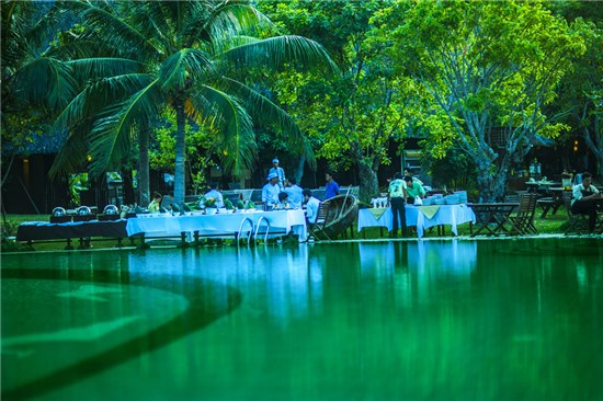 Hồ bơi - Hotel24h.net