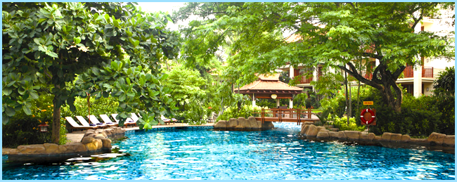 Hồ bơi - Hotel24h.net