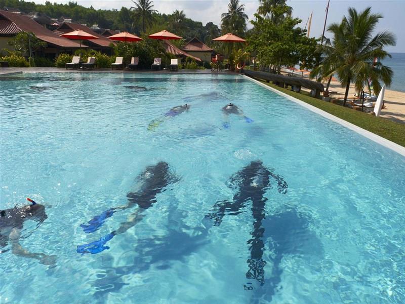 Hồ bơi - Hotel24h.net