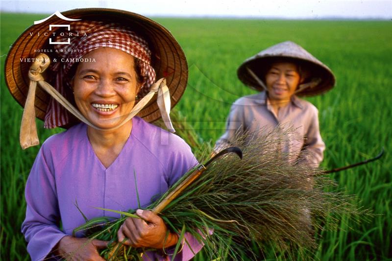 Cảnh quan - Hotel24h.net