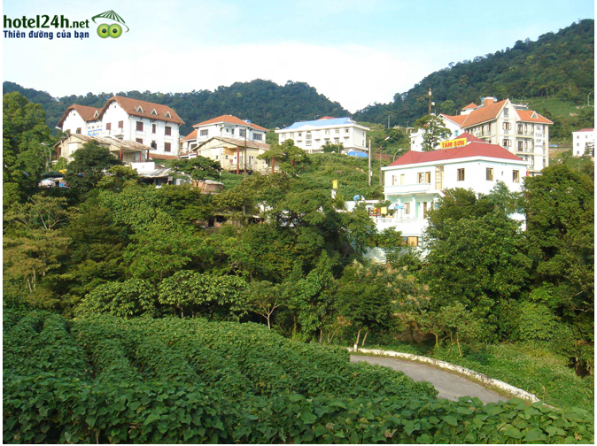 vinh-phuc-hotel24h.net.jpg