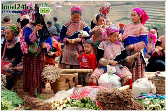 ron-rang-cho-tinh-khau-vai-hotel24h.net.jpg