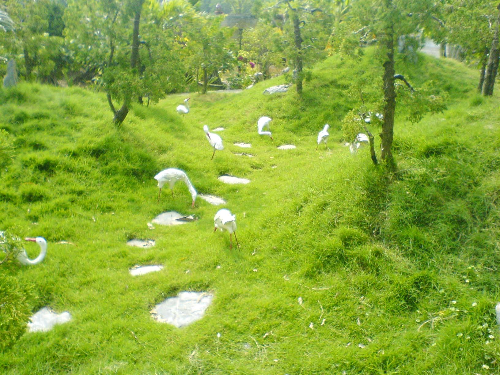 Ve-tham-Nam-Dinh-yen-binh_51.jpg