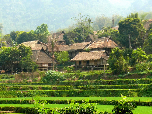 thungnai2.jpg