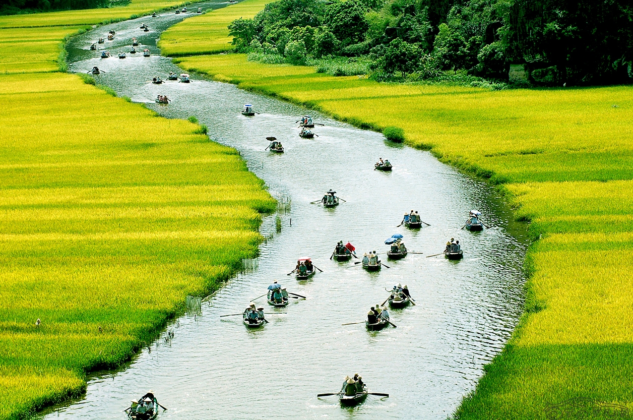 trangan3.jpg